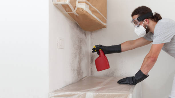 Professional Mold Testing technician working in Central Islip, NY